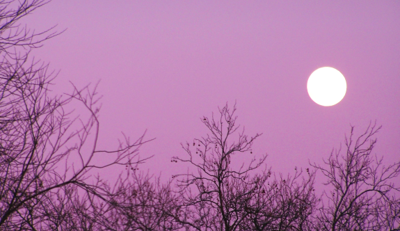 mond