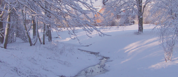 Wintereinbruch